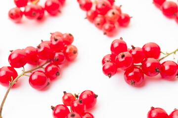 Fresh red currant berries background. Branches of red currant berries closeup