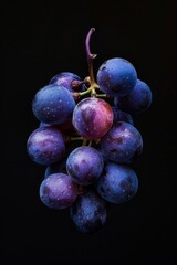 Mystic photo of Concord Grape, isolated on black background