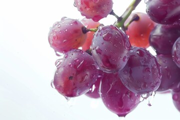 Mystic photo of Flame Seedless Grape on the vine, isolated on white background