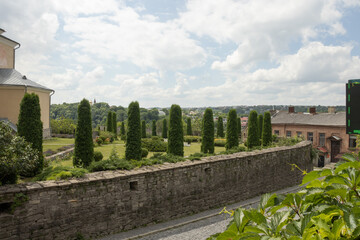 A row of thujas in the Kamianets-Podilskyi city