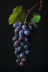 Fototapeta premium Mystic photo of Pinot Noir, isolated on black background