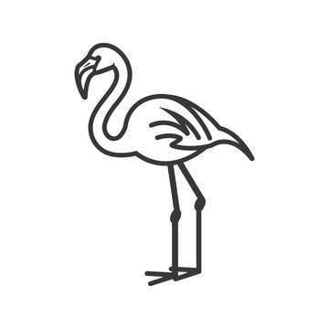 recommend clip art: minimalist flamingo line art icon logo symbol