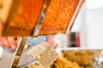 Bee Honey Trickles Down the Golden Beehive Honeycomb Cells