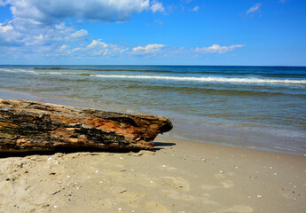 drewno na plaży na tle morza, kawałek drwena na plaży, malowniczy pejzaż nadmorski, log on the sand on the sea shore,  beach scene with a large log and sand © kateej