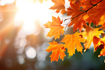 Fototapeta premium autumn leaves on the water