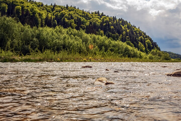 Landscapes -  Forest - Europe, Romania, Suceava region