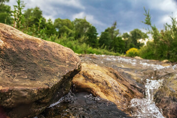 Landscapes -  Forest - Europe, Romania, Suceava region