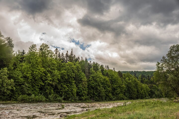 Landscapes -  Forest - Europe, Romania, Suceava region