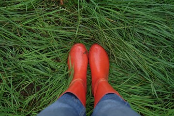Woman in red rubber boots standing on green grass with dew, top view