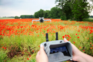 Dron nad polem czerwonych maków, kontroler drona w rękach operatora. © Stanisław Błachowicz
