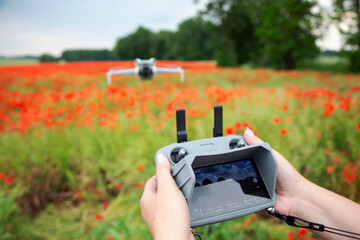Dron nad polem czerwonych maków, kontroler drona w rękach operatora. © Stanisław Błachowicz