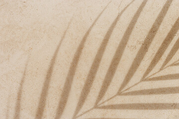 Summer background, top view sun shadow from palm leaf on sandy colored background. Summer aesthetic photo pale beige colored, copy space, nobody, vacation and rest concept. Abstract top view