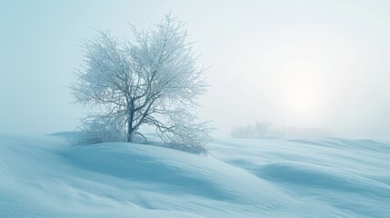 Obraz premium Frosty Winter Landscape with Snow and Trees.