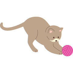 Cute Cat Illustration