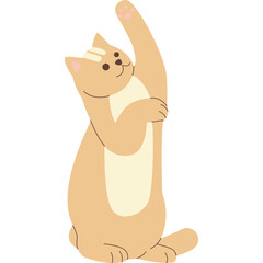 Cute Cat Illustration