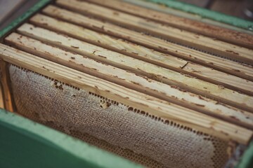 Rural and natural beekeeper, working to collect honey from hives