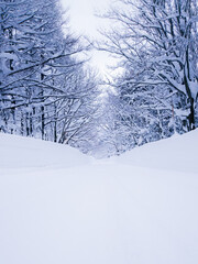 雪の壁の一本道