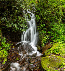 Naklejka premium Small Hillside Cascade on The Middle Prong of The Little River Near Tremont, Great Smoky Mountains National Park, Tennessee, USA