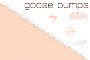 Fototapeta premium Border Goosebumps on the skin poster. Frame Goosebump arrector pili muscle hair straight up. Goose bumps ants on skin banner.