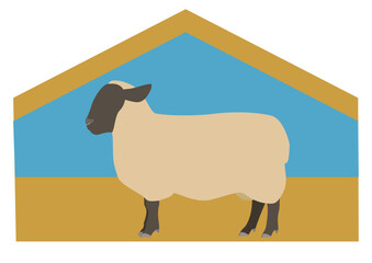 sheep_suffolk_sheepfold_as