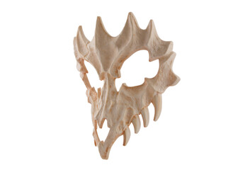 Dragon skull isolated on white background with clipping path