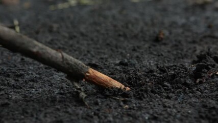 Macro of a stick cutting into the soil. The stick carves the ground. Drawing on the earth. - Powered by Adobe