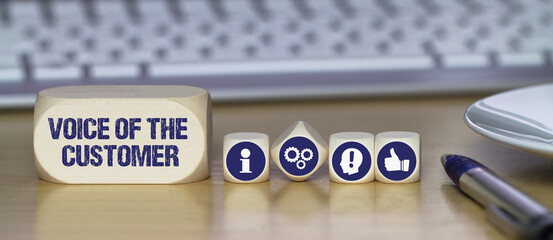 voice of the customer	