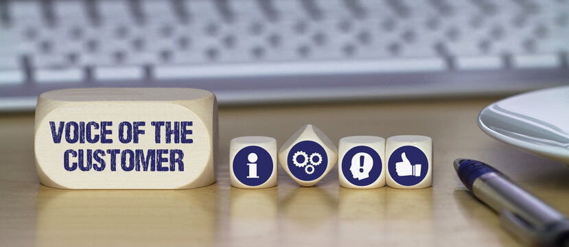 voice of the customer	