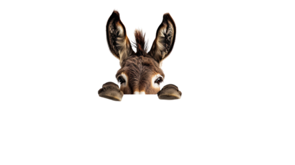 Donkey over banner transparent background
