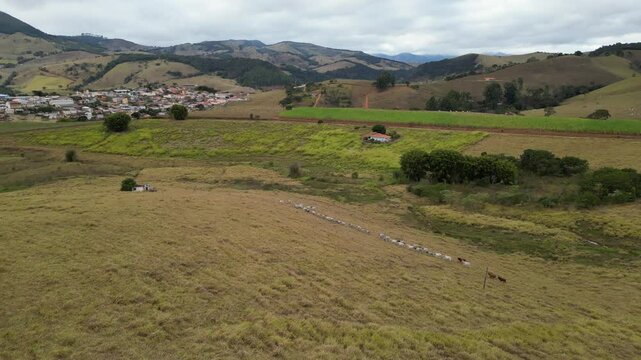 Fazenda Gado Paisagem Aiuruoca Minas Gerais Natureza Rural Pastagem Colinas Agricultura Pecu&aacute;ria Campo Estrada de Terra Serras Vaqueiro Horizonte C&eacute;u Azul Paisagem Buc&oacute;lica Vida Simples Charme R&uacute;stico