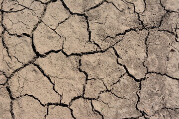 brown cracked soil with some dust isolated top view