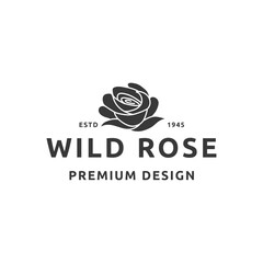 Rose flower logo design illustration
