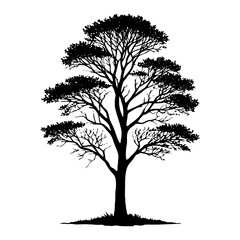 Obraz premium Tree . Black and white botanical illustration. Logo design for use in graphics. Generated by Ai