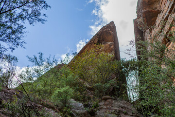 Blue Mountains National Park, New South Wales, Australia