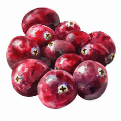 Obraz premium A watercolor illustration of a group of fresh cranberries, each with a detailed texture and bright red color, isolated on white background.
