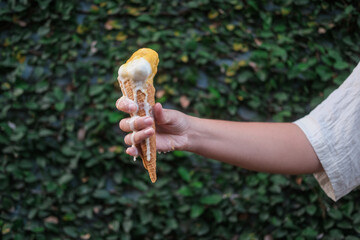 A close up of a woman hand holding a waffle cone with vanilla ice cream, which melts and flows down...