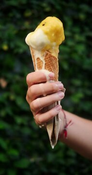 Vertical close up of a woman hand holding a waffle cone with vanilla ice cream, which melts and flows down her hand. Ice cream flows and drips onto your hand. Extreme heat. Summer background.