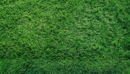 Natural fresh green grass cut out backgrounds 3d rendering