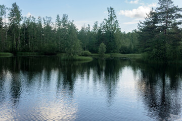 beautiful summer calm lake in forest