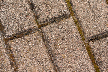 Fototapeta premium urban background, fragment of tiled sidewalk, cobblestone street