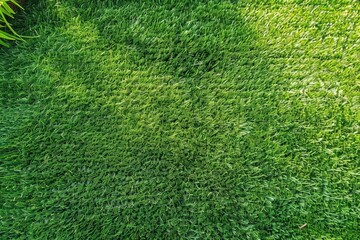 Obraz premium Green Grass Texture