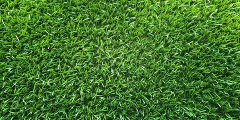 Green Grass Texture - Lush Background