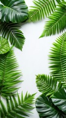 Tropical Greenery Frame with Various Lush Green Leaves on White Background Perfect for Nature Inspired Design and Botanical Themes