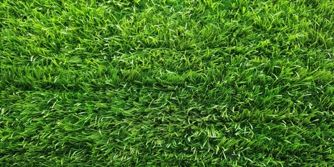 Green Grass Background