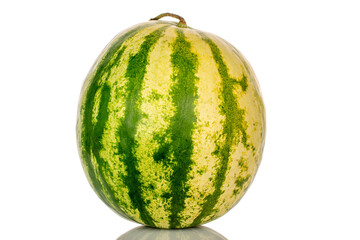 One juicy watermelon, macro, isolated on white background.