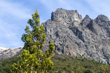mountain landscape in the mountains