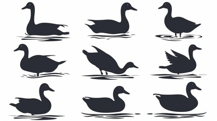 Fototapeta premium A neat grid of duck silhouettes showing various postures, each duck interacting with water beneath, creating mesmerizing ripples, perfect for nature lovers.