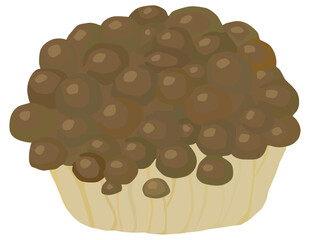 シンプルなぶなしめじのイラスト ベクター素材