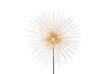 Obraz premium Dandelion Seeds with Light