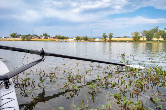 hatchet sculling oar on a calm lake with water weeds, Boyd Lake in Colorado